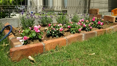 【花壇を作ろう！レンガ積み-自分で庭作り】(3)