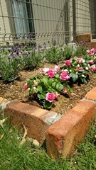 �����Œ���Ԓd��