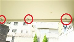 led���Ȱ��݂�̯�