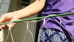 led���Ȱ��݂����|�x���ɒʂ�2