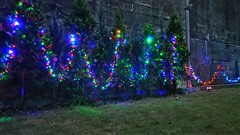 ����Ȱ���DIY