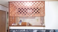 ����DIY�L�΍�