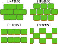 �Ő��̐A����