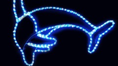 イルミネーション●イルカ